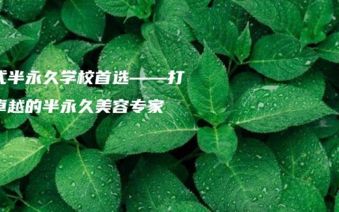 韩式半永久学校首选——打造卓越的半永久美容专家