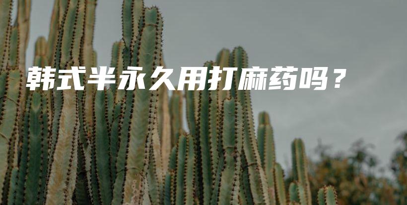 韩式半永久用打麻药吗？插图