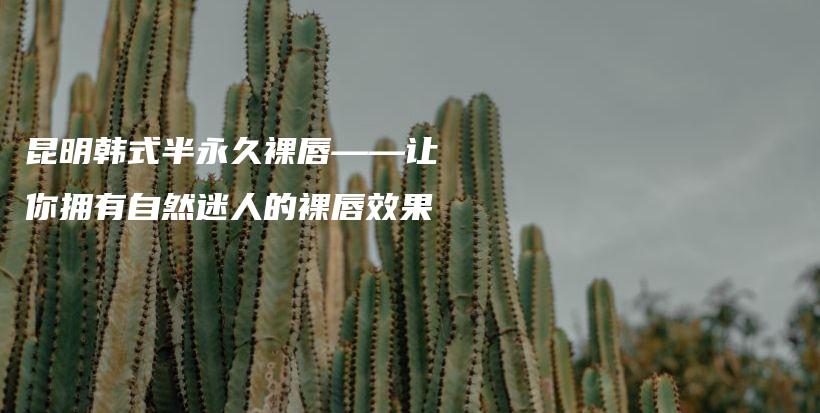 昆明韩式半永久裸唇——让你拥有自然迷人的裸唇效果插图