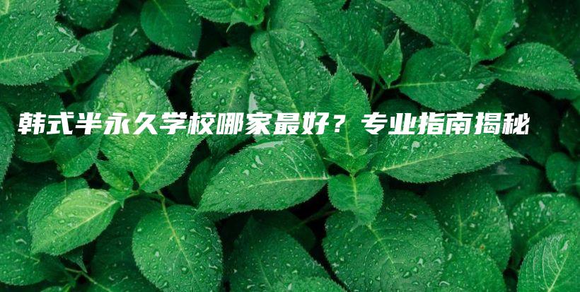 韩式半永久学校哪家最好？专业指南揭秘插图