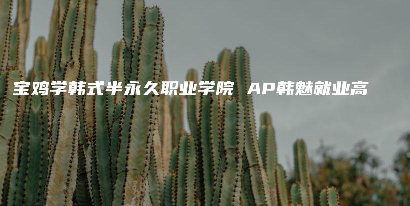 宝鸡学韩式半永久职业学院 AP韩魅就业高插图