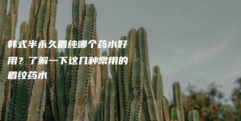 韩式半永久眉纯哪个药水好用？了解一下这几种常用的眉纹药水插图