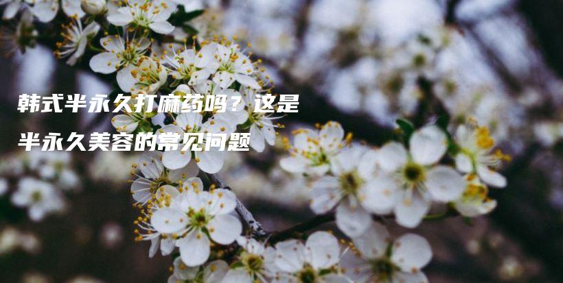 韩式半永久打麻药吗？这是半永久美容的常见问题插图