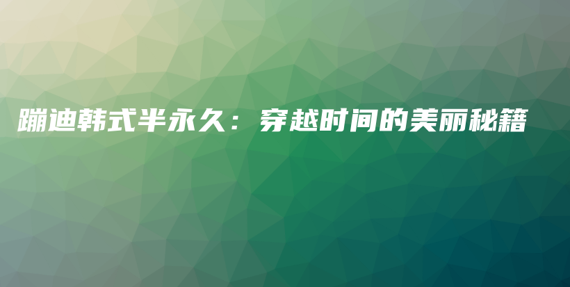 蹦迪韩式半永久：穿越时间的美丽秘籍插图