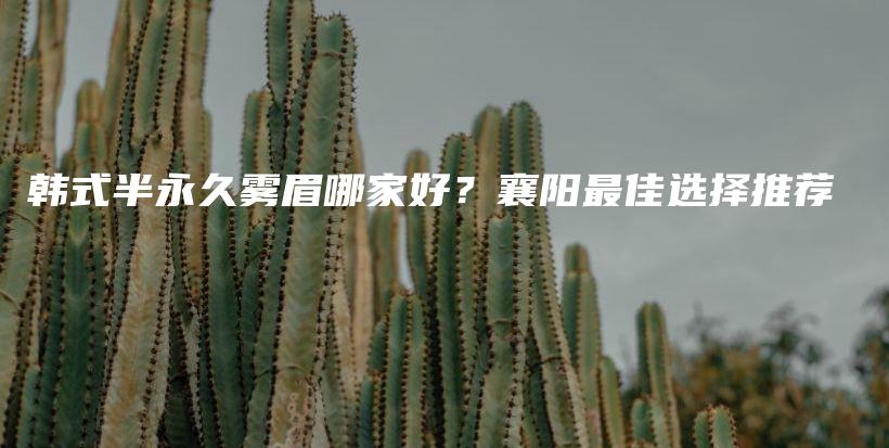 韩式半永久雾眉哪家好？襄阳最佳选择推荐插图