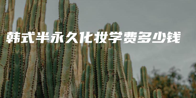 韩式半永久化妆学费多少钱插图