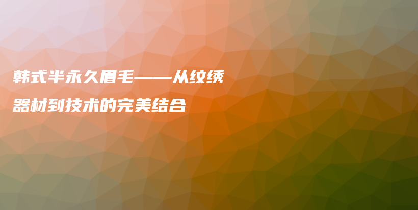 韩式半永久眉毛——从纹绣器材到技术的完美结合插图