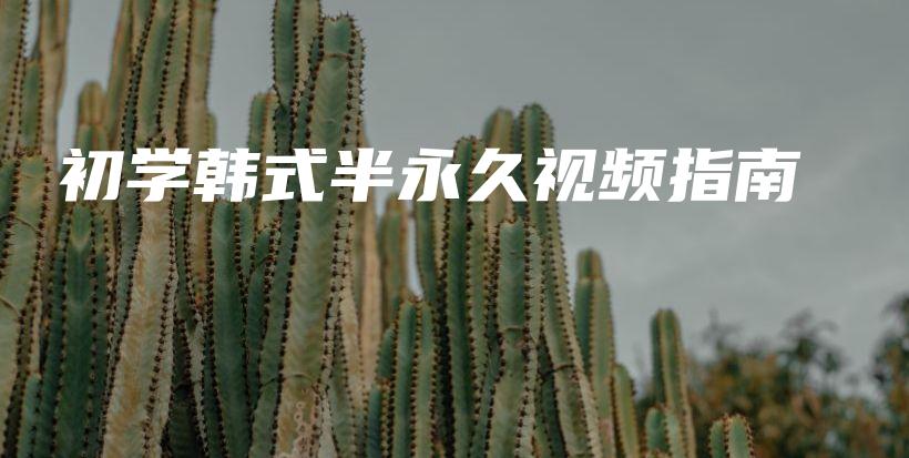 初学韩式半永久视频指南插图