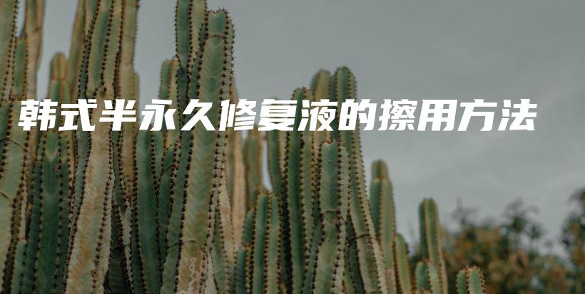 韩式半永久修复液的擦用方法插图