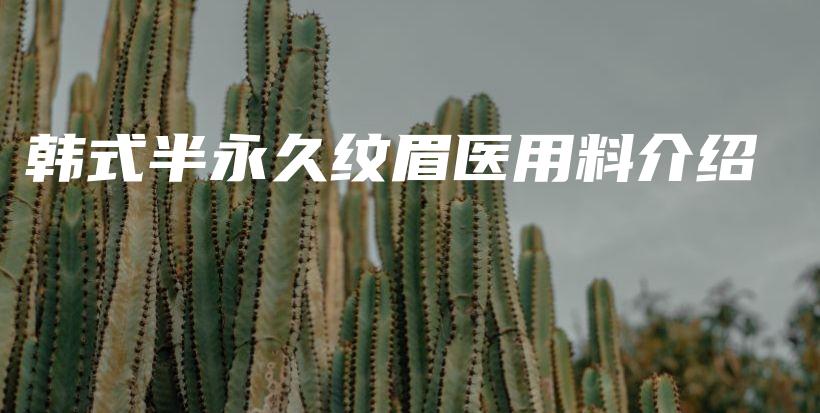 韩式半永久纹眉医用料介绍插图