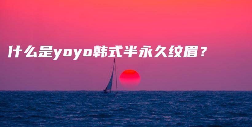 什么是yoyo韩式半永久纹眉？插图