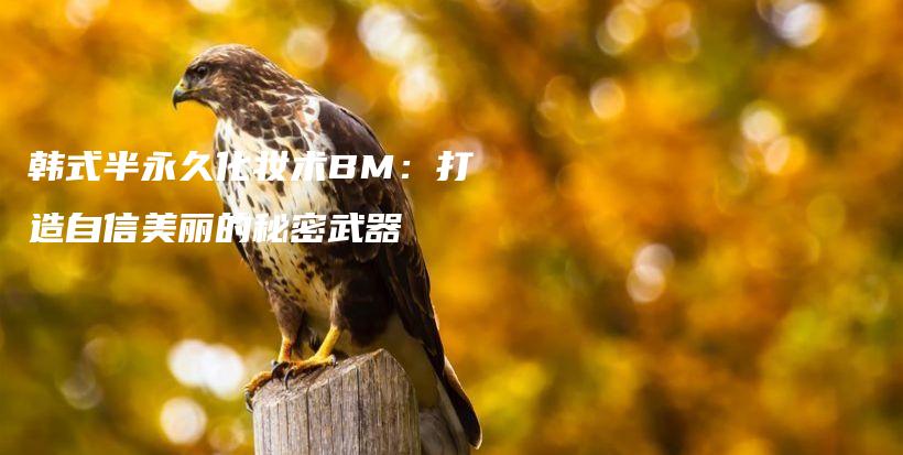 韩式半永久化妆术BM：打造自信美丽的秘密武器插图