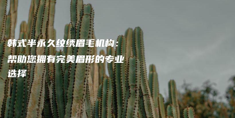 韩式半永久纹绣眉毛机构：帮助您拥有完美眉形的专业选择插图