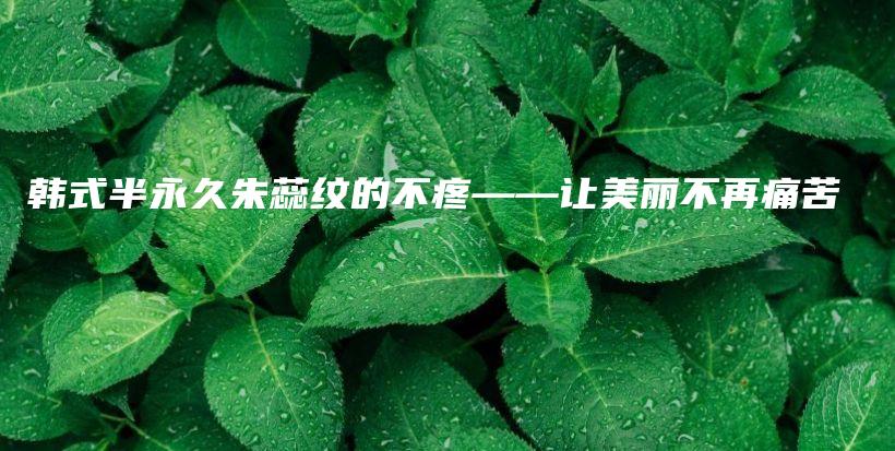 韩式半永久朱蕊纹的不疼——让美丽不再痛苦插图