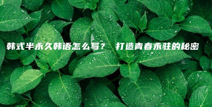 韩式半永久韩语怎么写？ 打造青春永驻的秘密插图