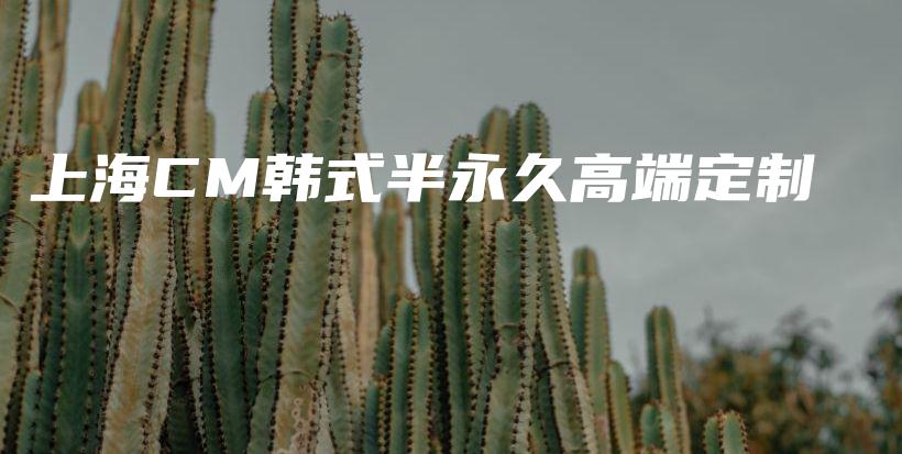 上海CM韩式半永久高端定制插图