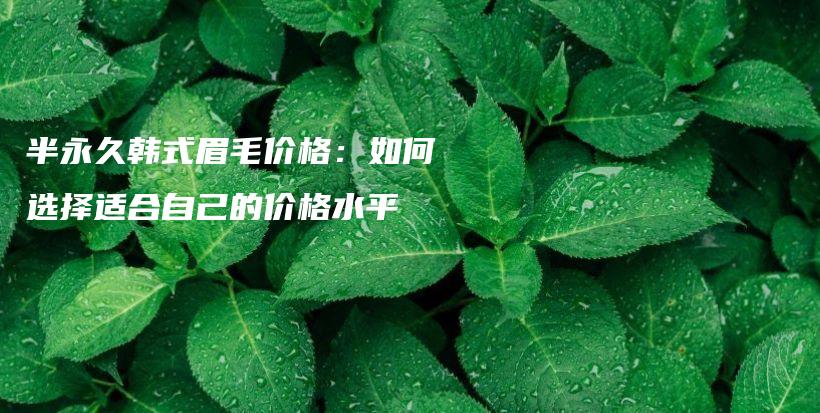 半永久韩式眉毛价格：如何选择适合自己的价格水平插图