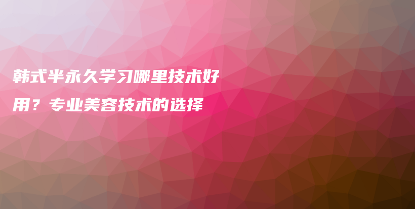 韩式半永久学习哪里技术好用？专业美容技术的选择插图