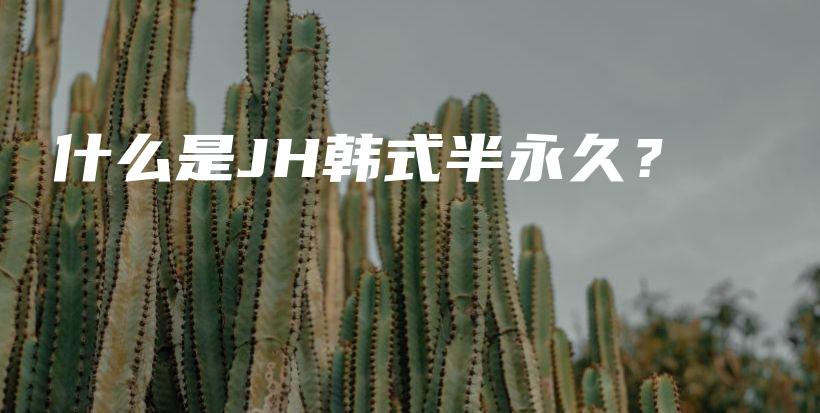 什么是JH韩式半永久？插图