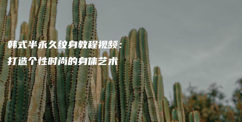 韩式半永久纹身教程视频：打造个性时尚的身体艺术插图