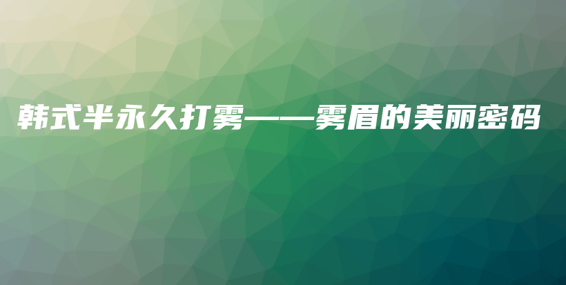 韩式半永久打雾——雾眉的美丽密码插图