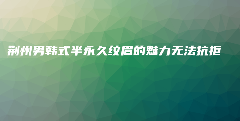 荆州男韩式半永久纹眉的魅力无法抗拒插图