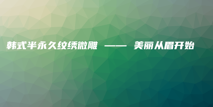 韩式半永久纹绣微雕 —— 美丽从眉开始插图