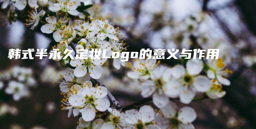 韩式半永久定妆Logo的意义与作用插图