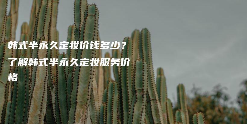 韩式半永久定妆价钱多少？了解韩式半永久定妆服务价格插图