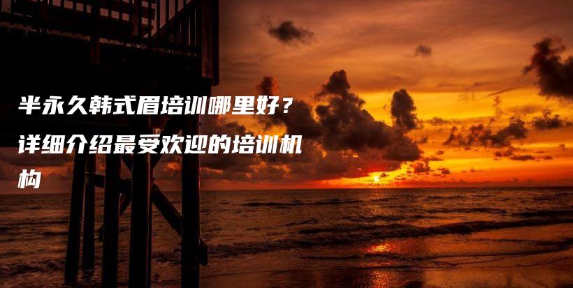 半永久韩式眉培训哪里好？详细介绍最受欢迎的培训机构插图