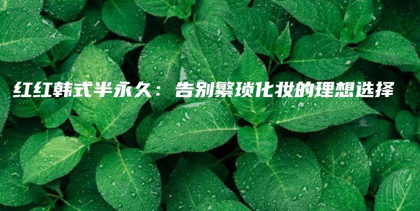 红红韩式半永久：告别繁琐化妆的理想选择插图