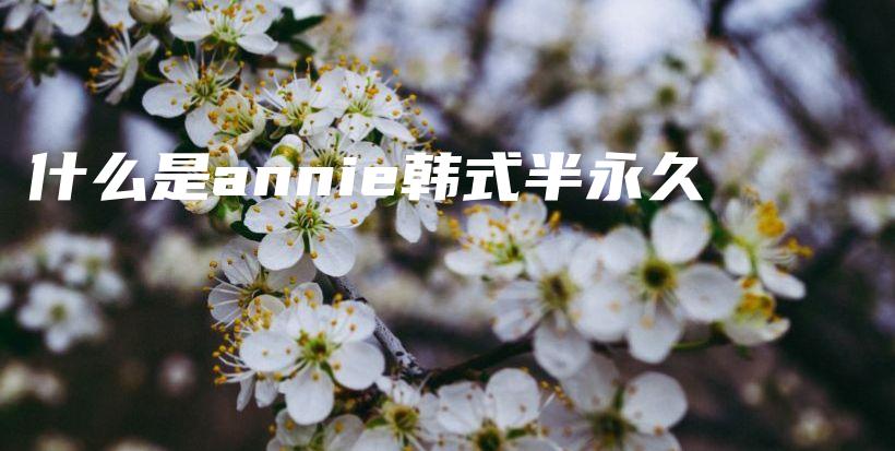 什么是annie韩式半永久插图