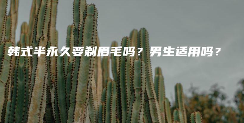 韩式半永久要剃眉毛吗？男生适用吗？插图