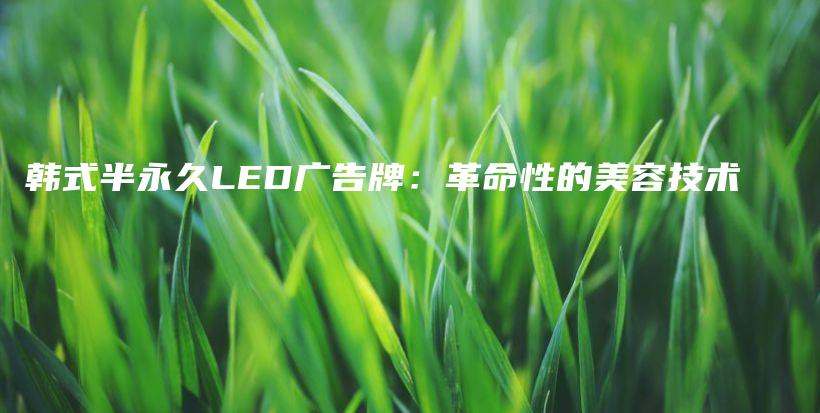 韩式半永久LED广告牌：革命性的美容技术插图