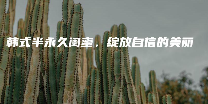 韩式半永久闺蜜，绽放自信的美丽插图