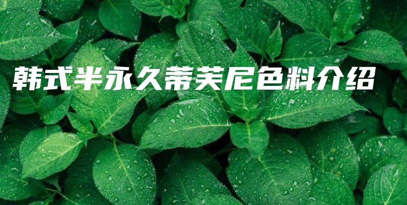 韩式半永久蒂芙尼色料介绍插图