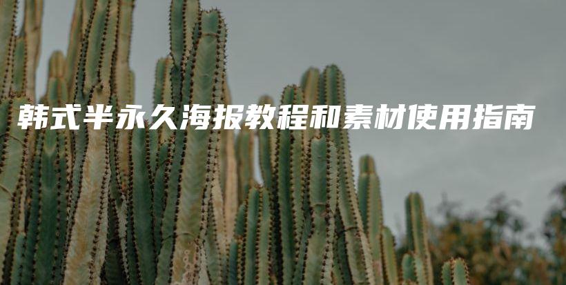 韩式半永久海报教程和素材使用指南插图