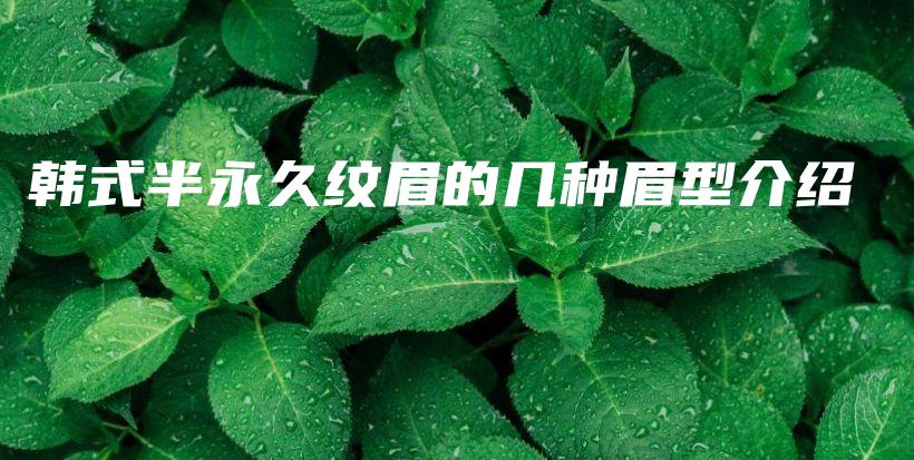 韩式半永久纹眉的几种眉型介绍插图