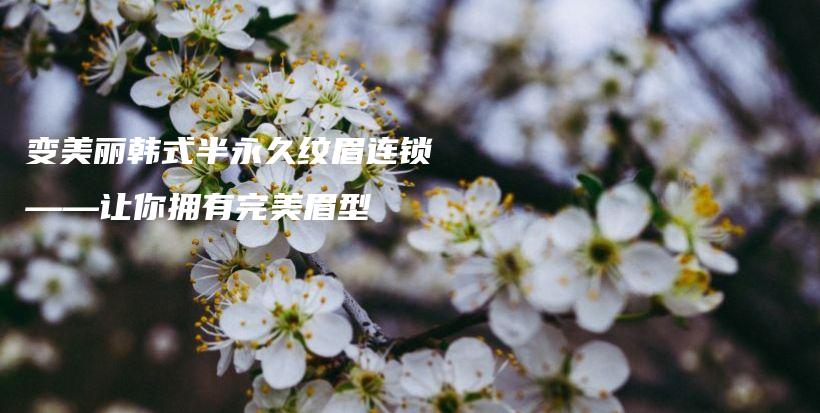 变美丽韩式半永久纹眉连锁——让你拥有完美眉型插图