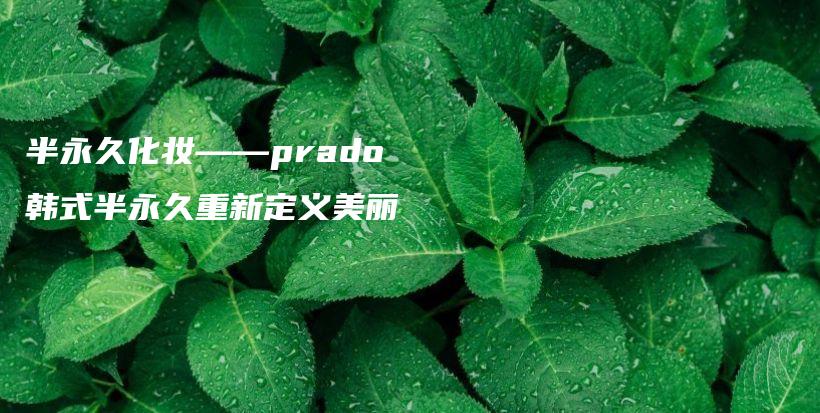 半永久化妆——prado韩式半永久重新定义美丽插图