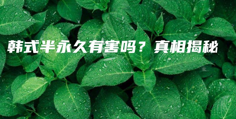 韩式半永久有害吗？真相揭秘插图