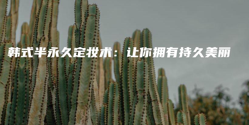 韩式半永久定妆术：让你拥有持久美丽插图