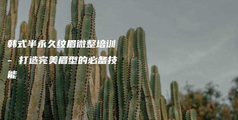 韩式半永久纹眉微整培训 – 打造完美眉型的必备技能插图