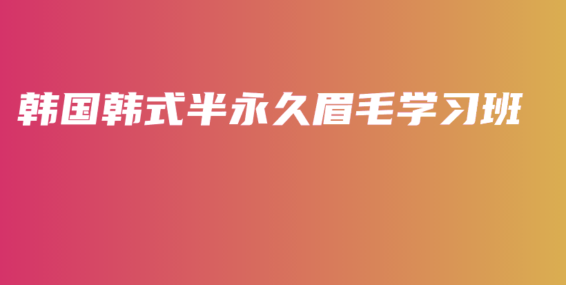 韩国韩式半永久眉毛学习班插图