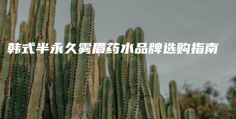 韩式半永久雾眉药水品牌选购指南插图