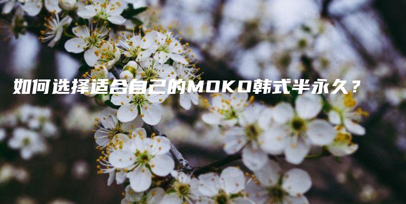 如何选择适合自己的MOKO韩式半永久？插图