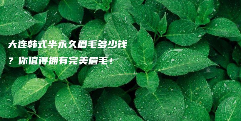 大连韩式半永久眉毛多少钱？你值得拥有完美眉毛！插图