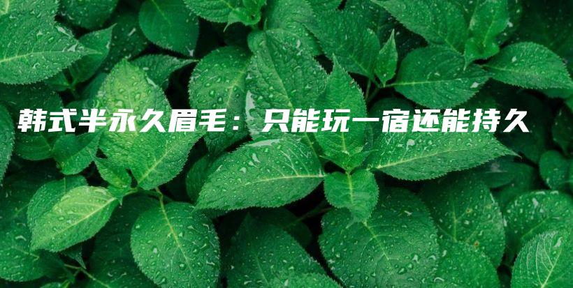 韩式半永久眉毛：只能玩一宿还能持久插图