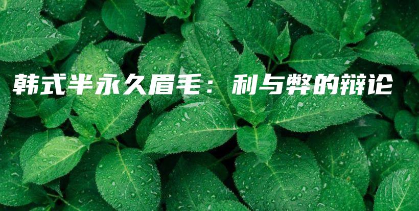 韩式半永久眉毛：利与弊的辩论插图