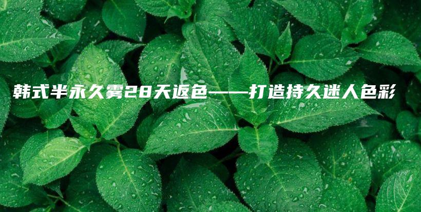 韩式半永久雾28天返色——打造持久迷人色彩插图